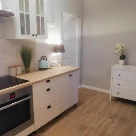 Lesne Apartment *